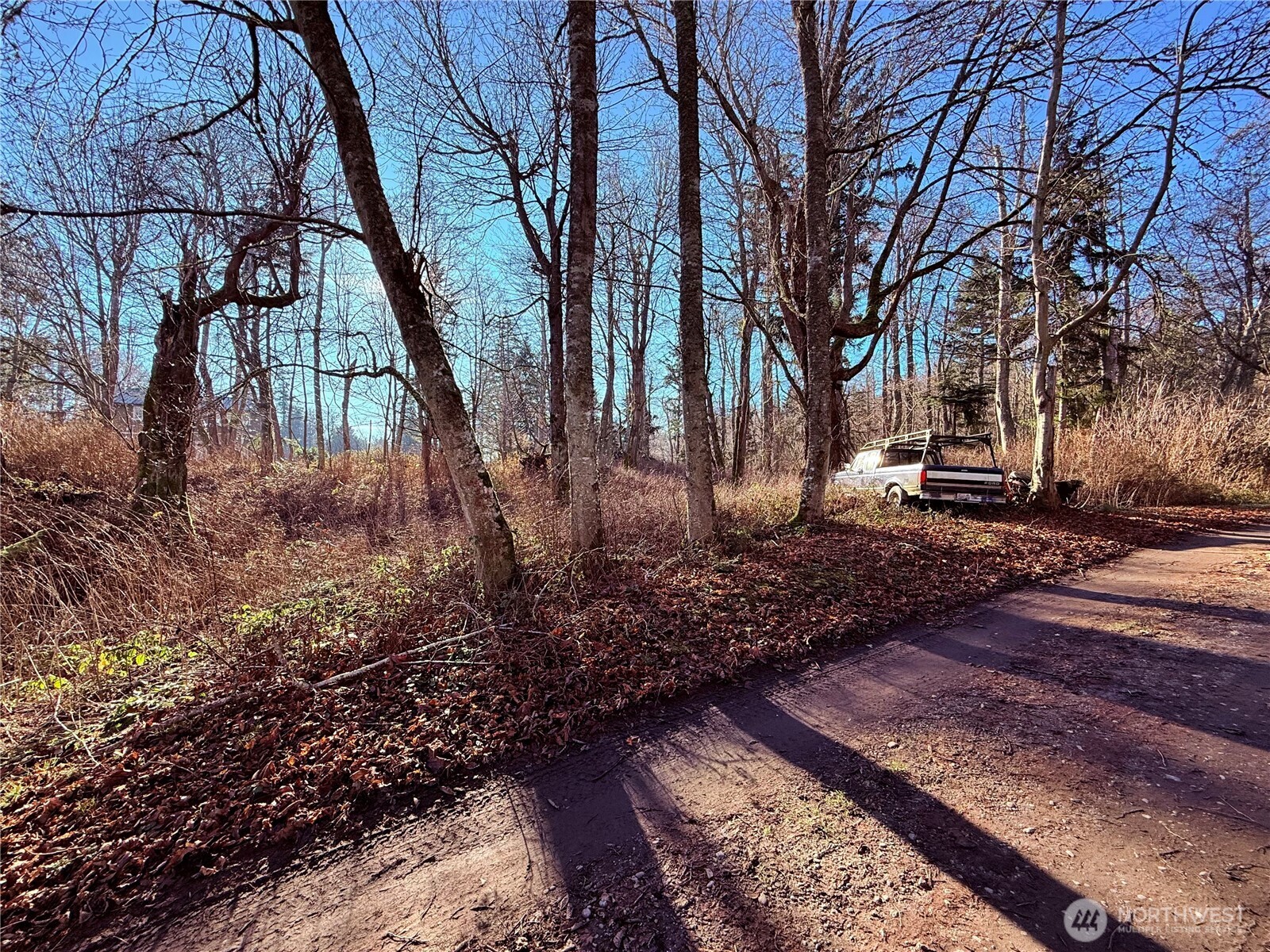 75 F Beach Way Everett, WA 98201 - Photo 3 of 22 a backyard of a house with lots of green space