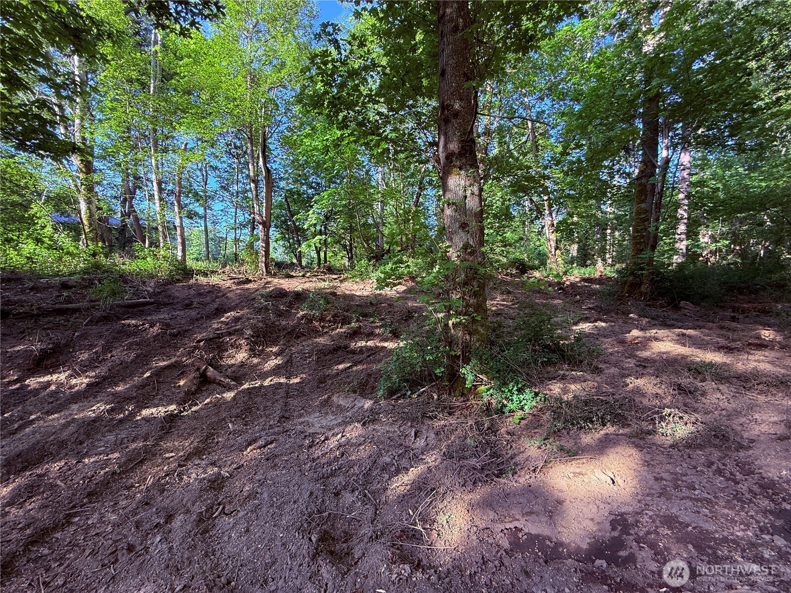 75 F Beach Way Everett, WA 98201 - Photo 5 of 27 a view of a forest with trees in the background