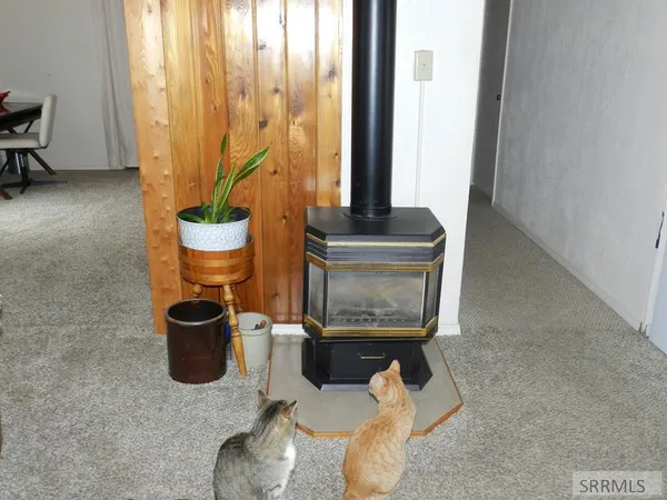 $285,000 | 109 Lena Street, Salmon, ID 83467