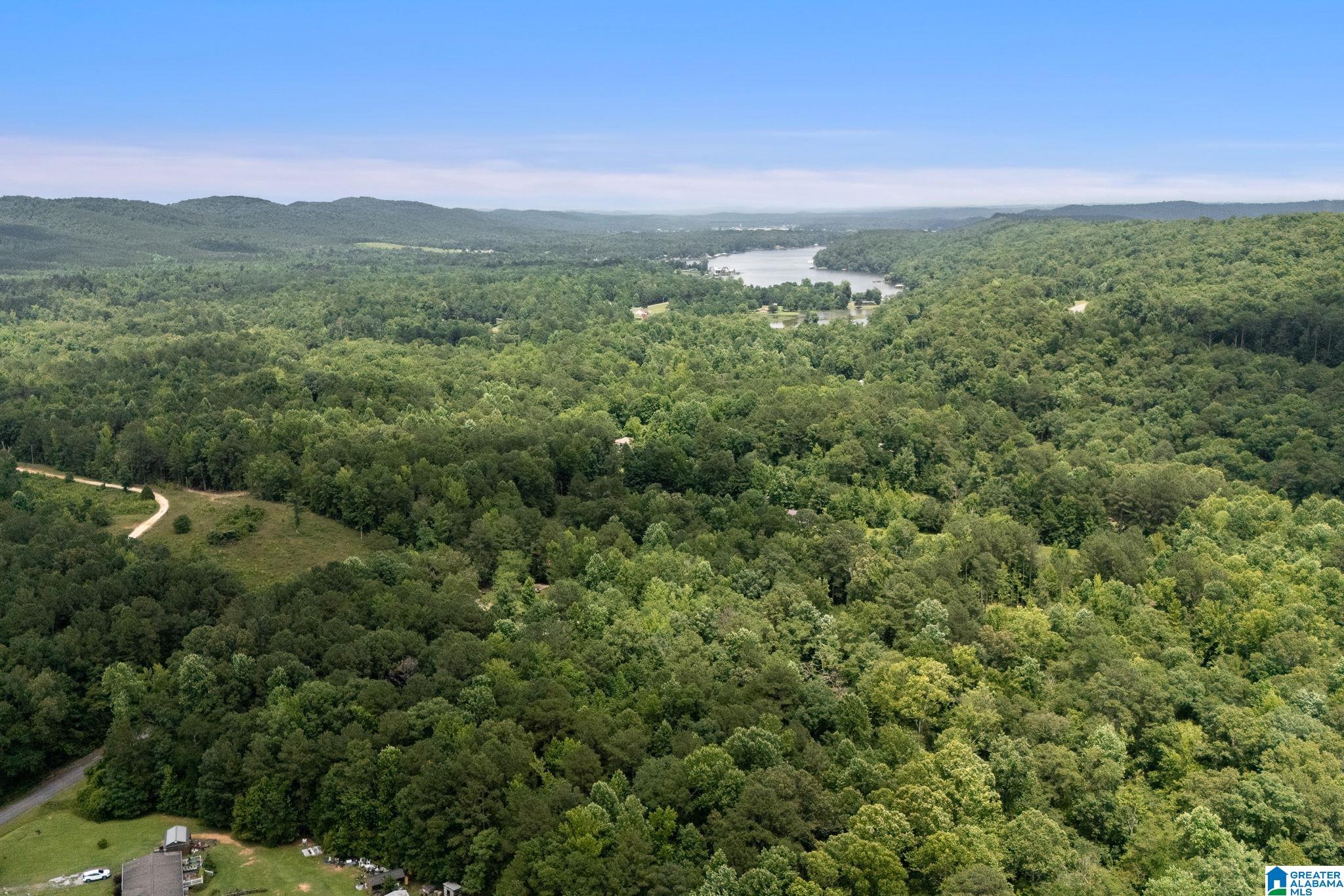 0 Waldrop Road, Unit 1 Ashville, AL 35953 - Photo 11 of 13