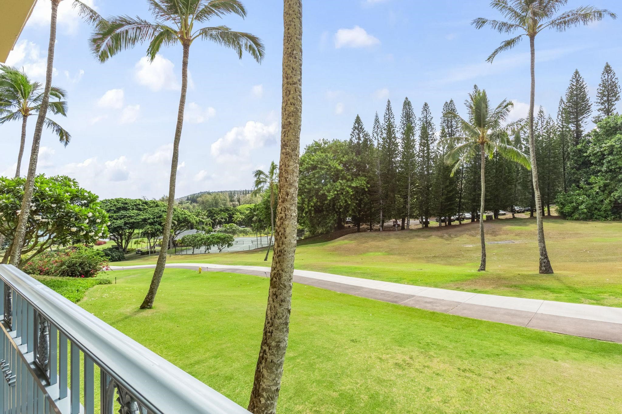 1 Ritz Carlton Drive, Unit 122123 Lahaina, HI 96761 - Photo 27 of 50 a view of a park with palm trees
