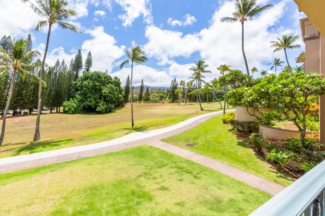 a view of a swimming pool with a yard