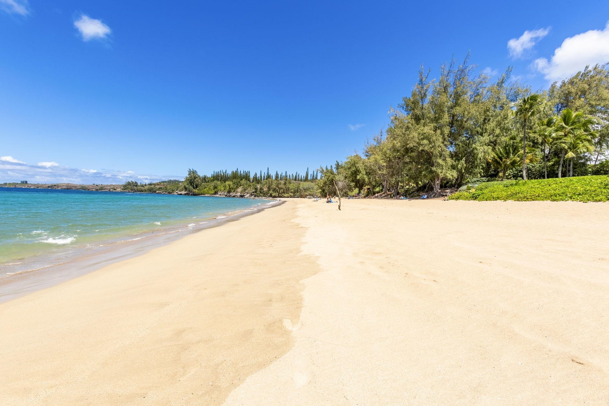 1 Ritz Carlton Drive, Unit 122123 Lahaina, HI 96761 - Photo 50 of 50 a view of an ocean and beach
