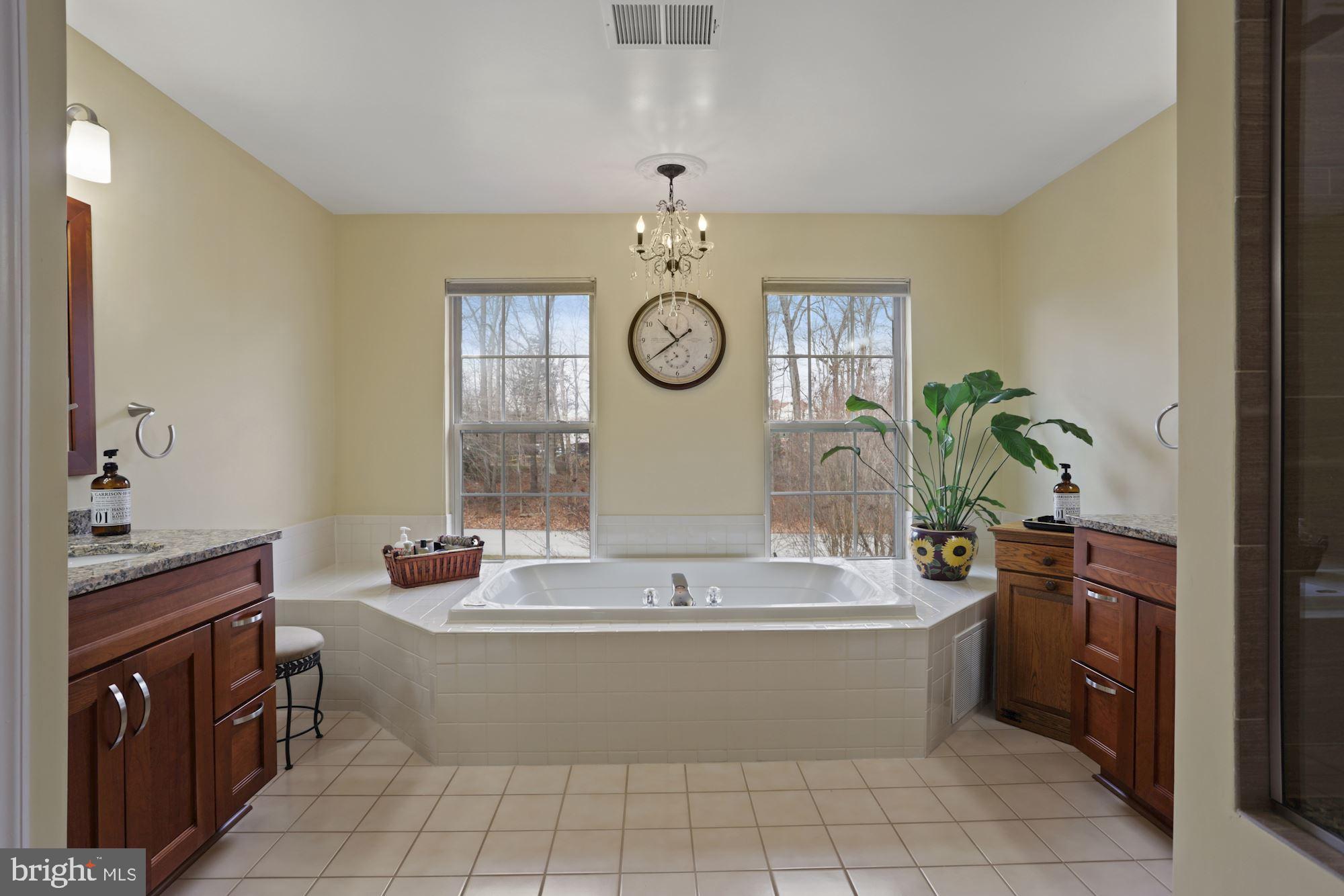 9411 Merkel Road Bowie, MD 20715 - Photo 21 of 42 Luxurious Jacuzzi Tub