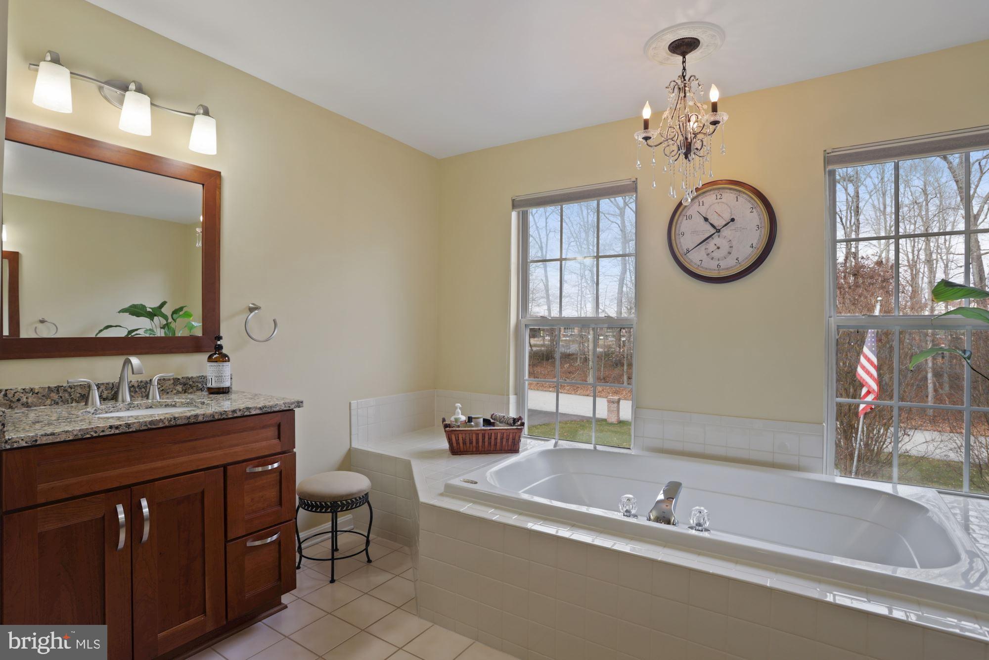 9411 Merkel Road Bowie, MD 20715 - Photo 22 of 42 Soak the day away!