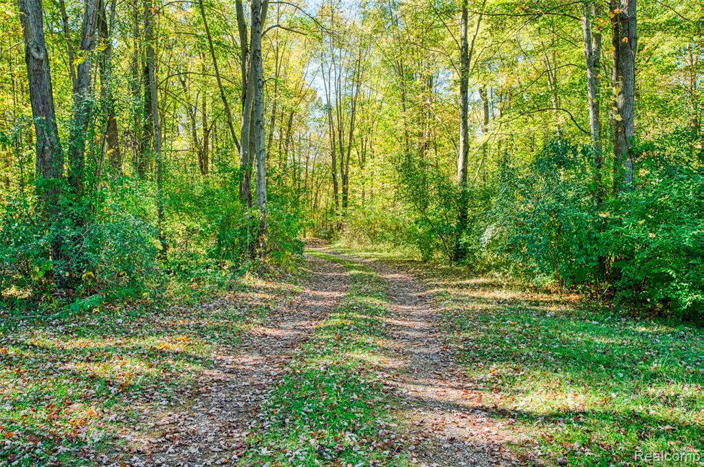 13201 Rockwell Road Stockbridge, MI 49285 - Photo 2 of 50