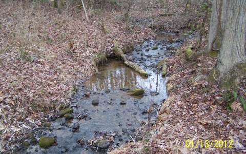 Lot 1 Talc Mine Road Murphy, NC 28906 - Photo 1 of 1 Main View