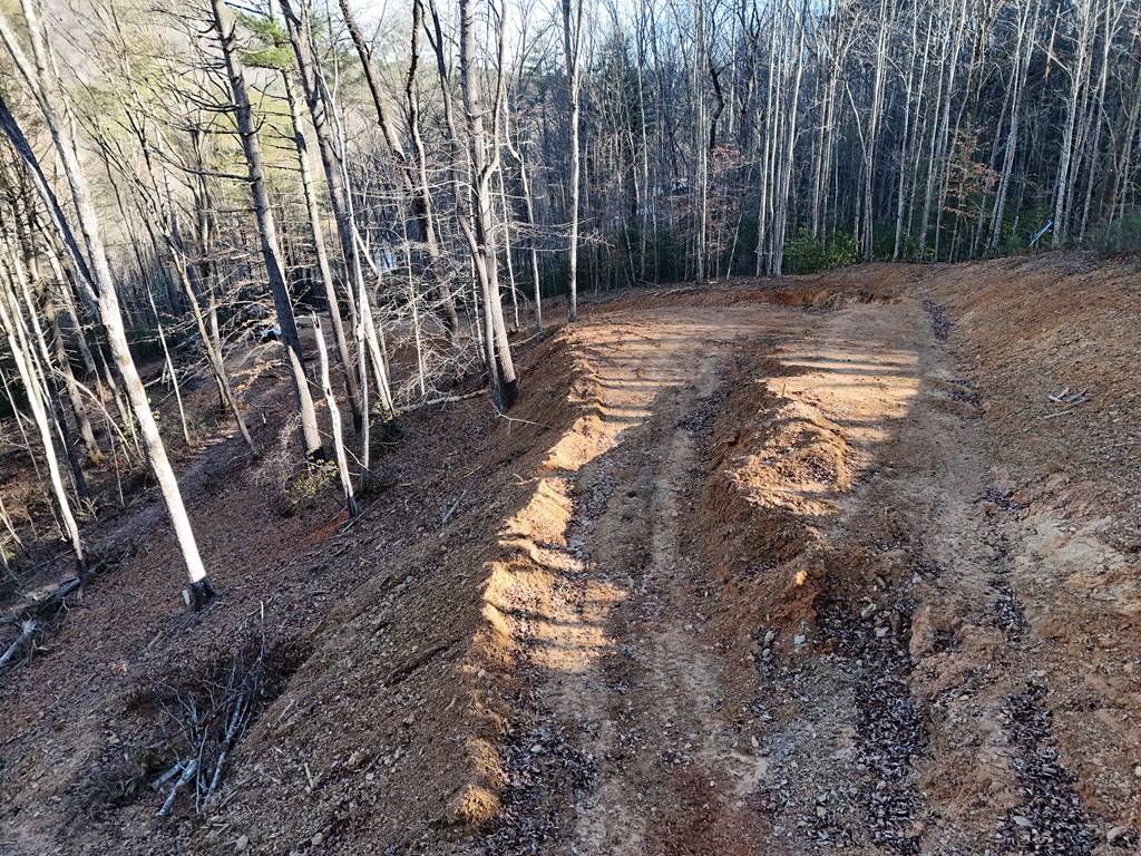 5-acres Hells Holw Way Blue Ridge, GA 30513 - Photo 18 of 43 Gallery Image 18
