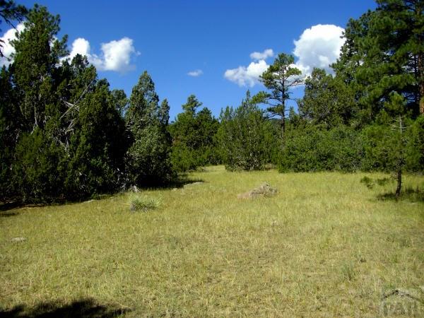 26 Signal Mountain Road Beulah, CO 81023 - Photo 4 of 5