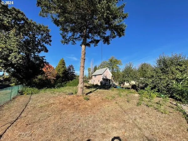 a view of a tree with a yard