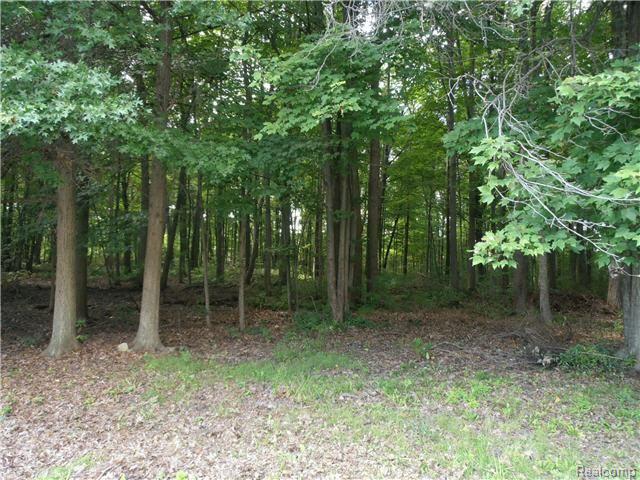 21054 Beech Daly Road Flat Rock, MI 48134 - Photo 4 of 15 woods.jpg