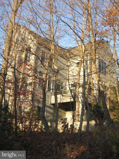 2024 Beacon Place Reston, VA 20191 - Photo 3 of 19 Exterior (Rear)