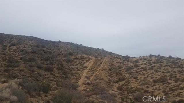 0 Ext Of Nielson Road Pinon Hills, CA 92372 - Photo 1 of 1 a view of a dry space with mountains in the background