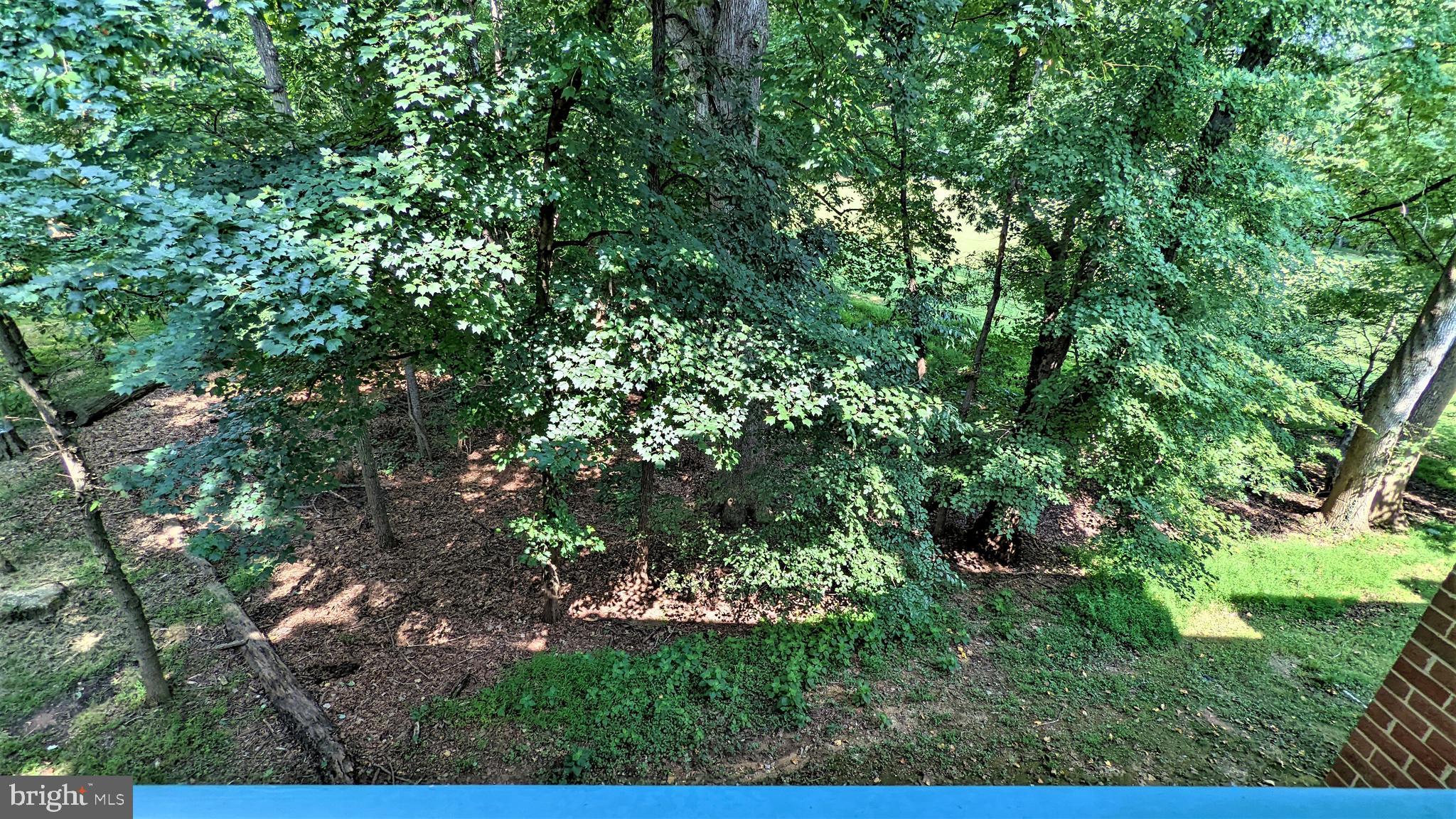 11808 Breton Court, Unit 21B Reston, VA 20191 - Photo 37 of 43