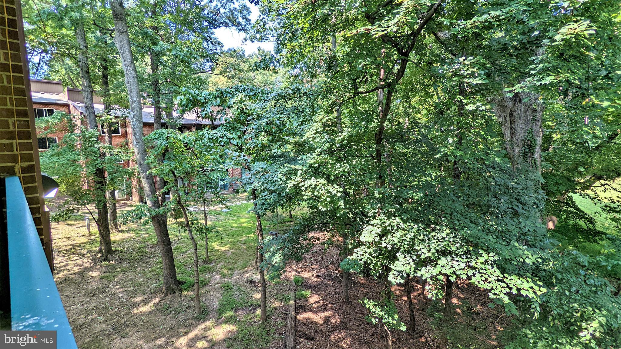 11808 Breton Court, Unit 21B Reston, VA 20191 - Photo 38 of 43