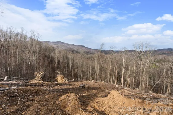 $225,000 | Tbd Pinnacle View, Elk Park, NC 28622