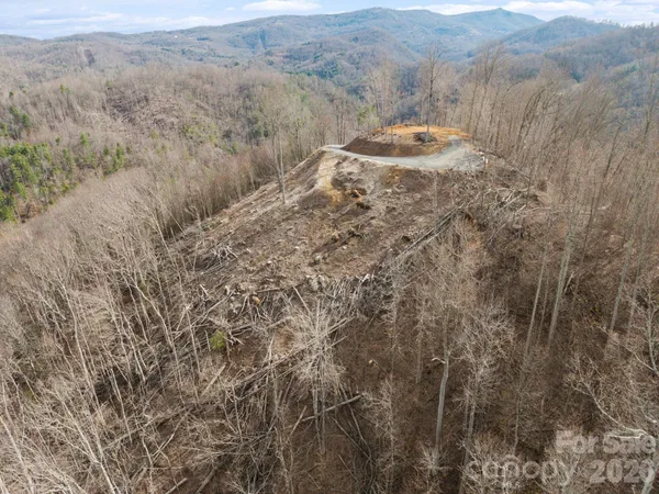 a view of a dry yard