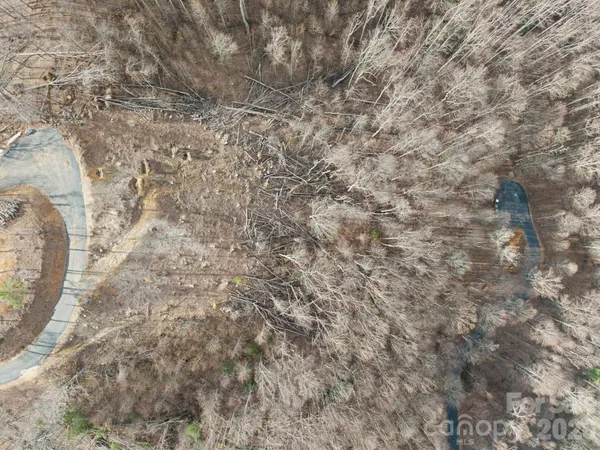 a view of a dry yard