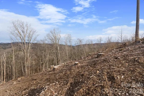 a view of a yard with wooden fence