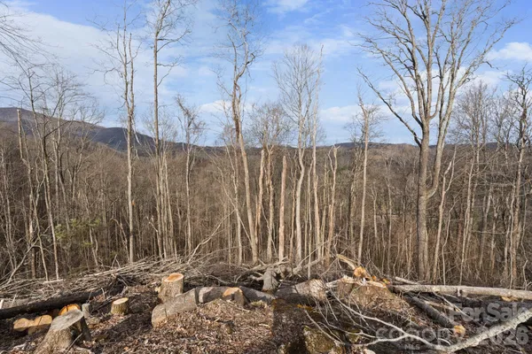 a view of a backyard of the house