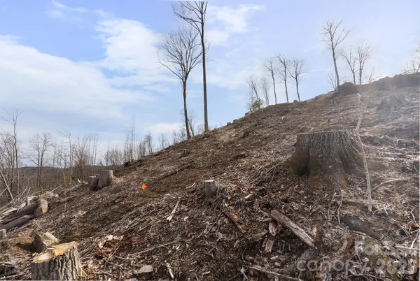 a view of a dry yard