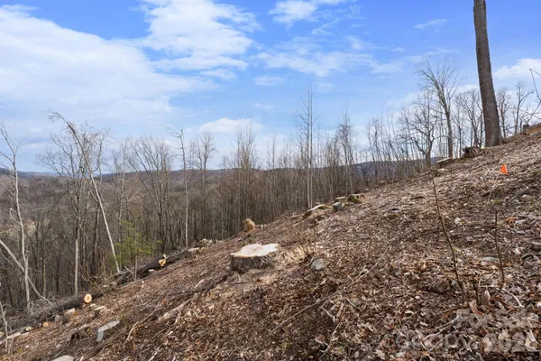 a view of a backyard of the house