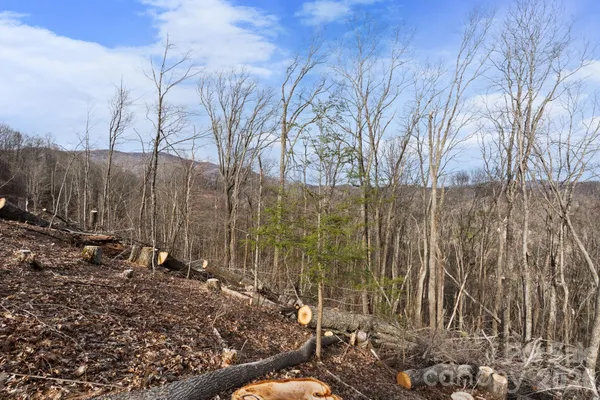 a view of backyard space