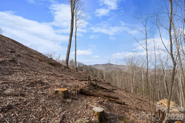 a view of a dry yard with mountains in the background