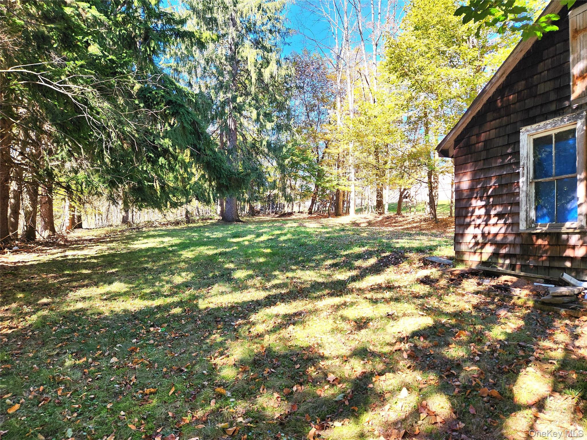 35 Youngs Hill Road Liberty, NY 12754 - Photo 29 of 32 a backyard of a house with a parked tree