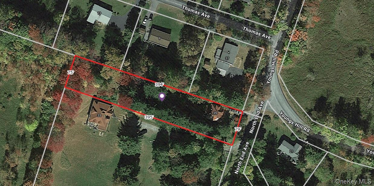 35 Youngs Hill Road Liberty, NY 12754 - Photo 30 of 32