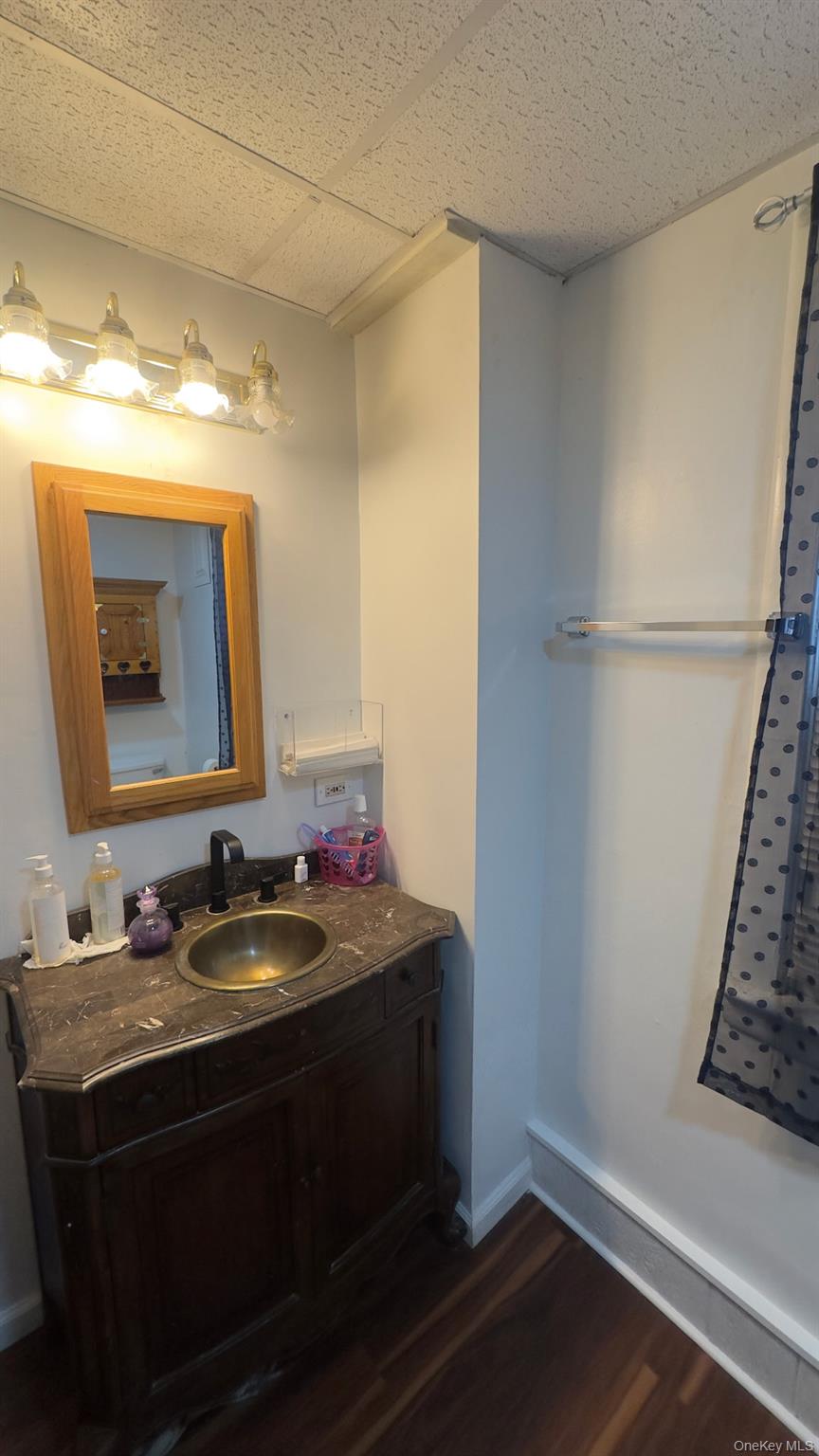 35 Youngs Hill Road Liberty, NY 12754 - Photo 8 of 32 a bathroom with a sink and a mirror