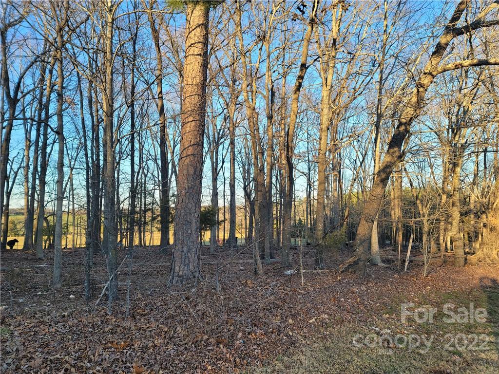 6.5-ac Wolf Pond Road Monroe, NC 28112 - Photo 3 of 8 a backyard of a house with lots of green space