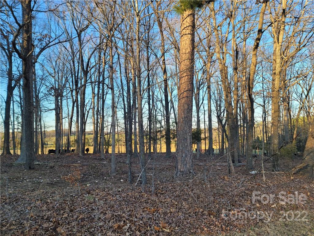 6.5-ac Wolf Pond Road Monroe, NC 28112 - Photo 4 of 8 a view of outdoor space with trees