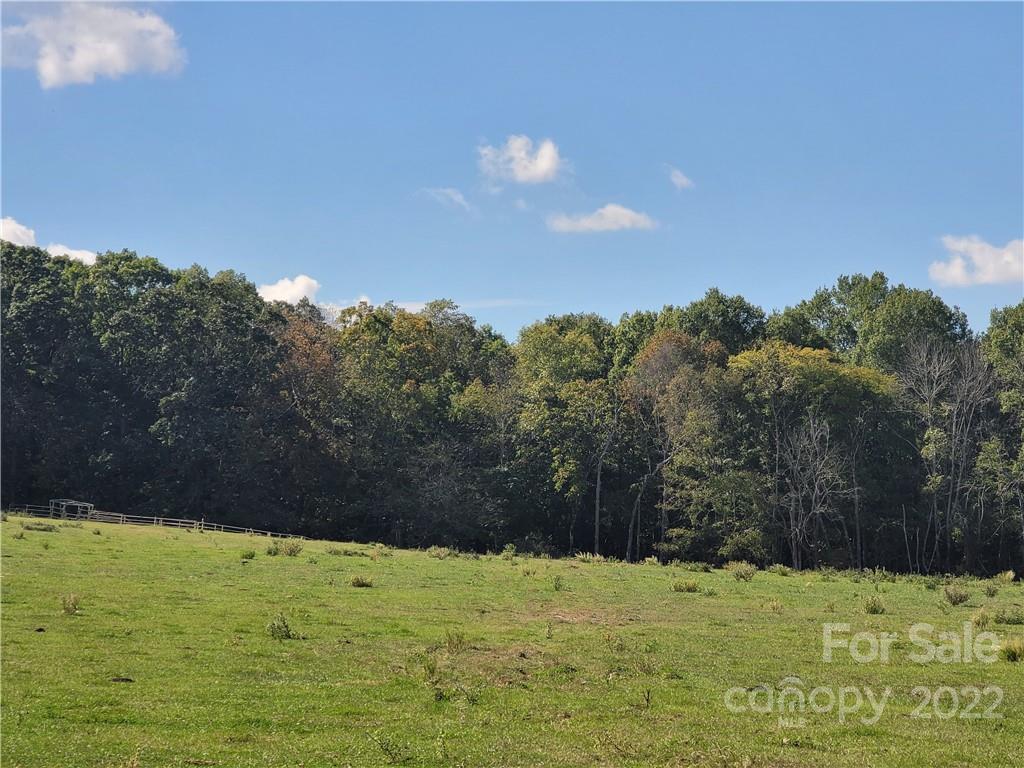 6.5-ac Wolf Pond Road Monroe, NC 28112 - Photo 7 of 8 a view of a yard