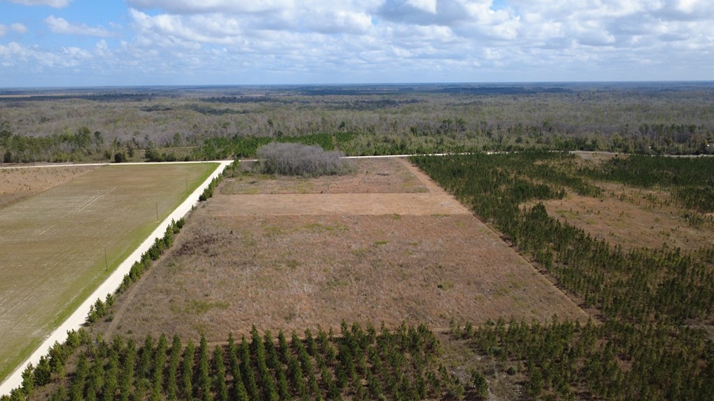 40 Davis Peacock Road Wewahitchka, FL 32449 - Photo 4 of 22