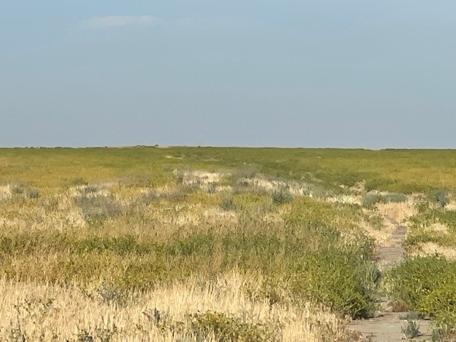 12 Poso Canal Alpaugh, CA 93201 - Photo 3 of 3 a view of an ocean