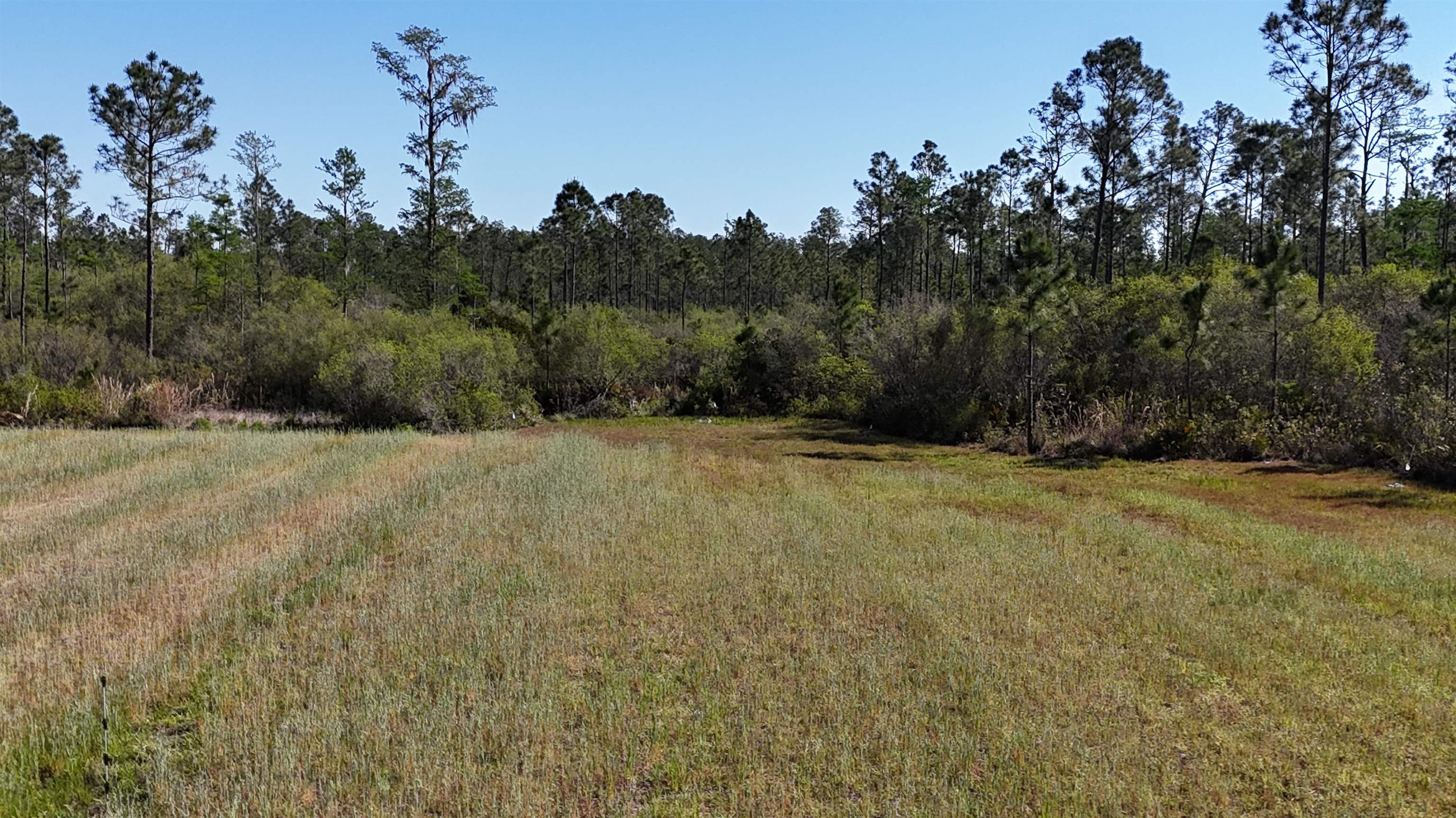0 Madison Main Line Road Perry, FL 32347 - Photo 5 of 50