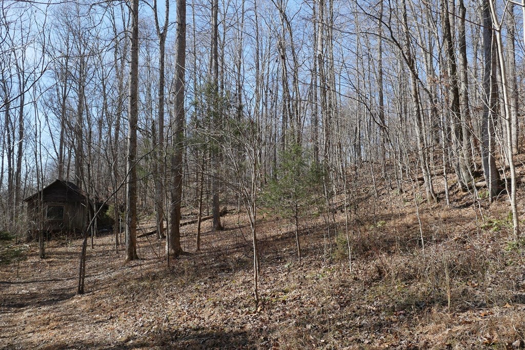 Tbd Tbd Dean Road Rose Hill, VA 24281 - Photo 87 of 97 Gallery Image 87