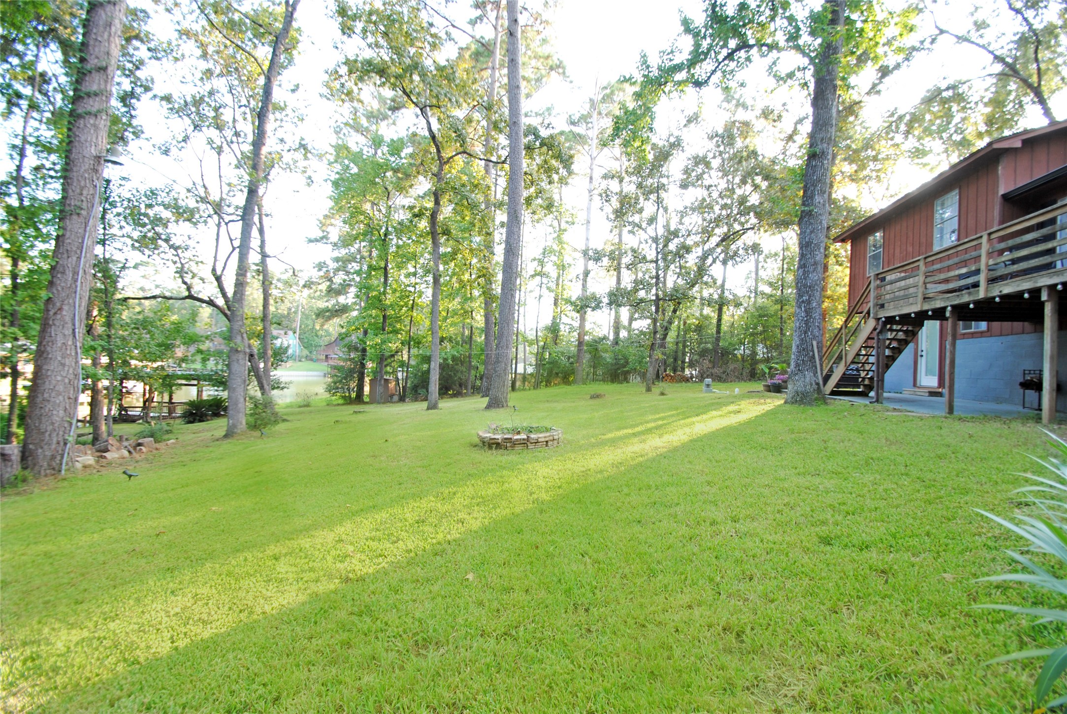 59 Paradise Loop Point Blank, TX 77364 - Photo 28 of 33 a view of a park with large trees