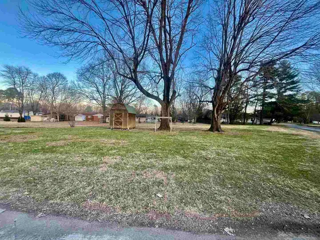 a view of a park with large trees