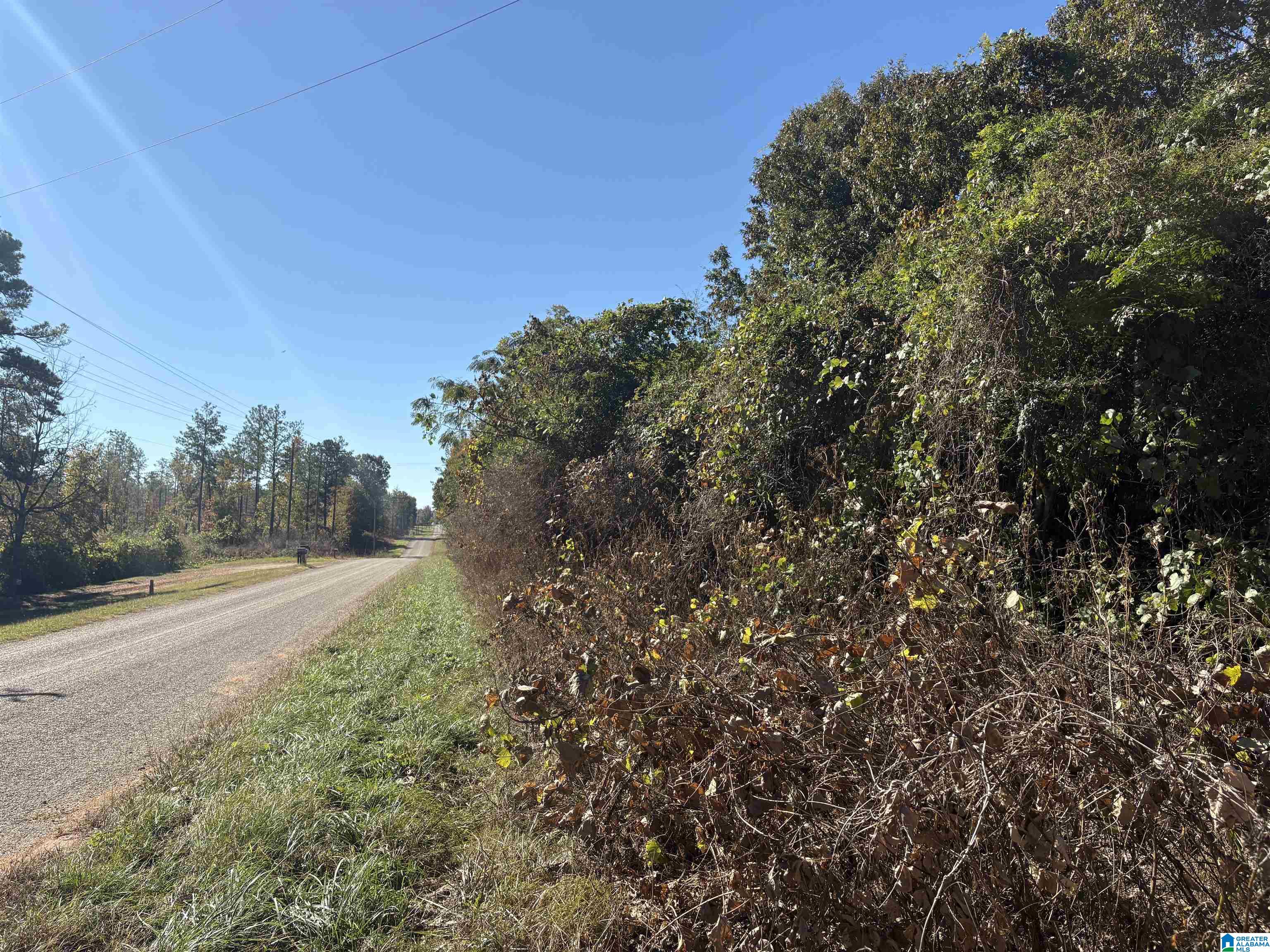 329 County Road, Unit 1 Wedowee, AL 36278 - Photo 1 of 5