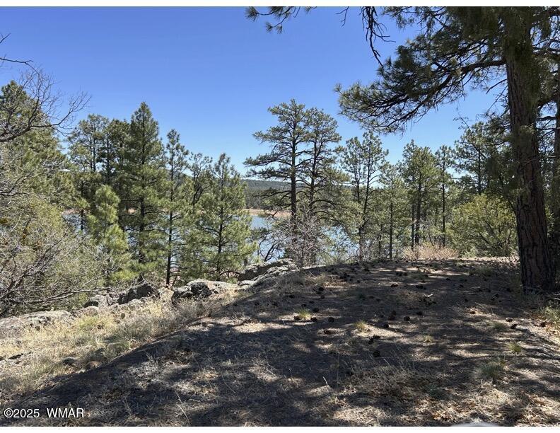 Tbd Show Low Lake Road Lakeside, AZ 85929 - Photo 2 of 9 48 Acre 4