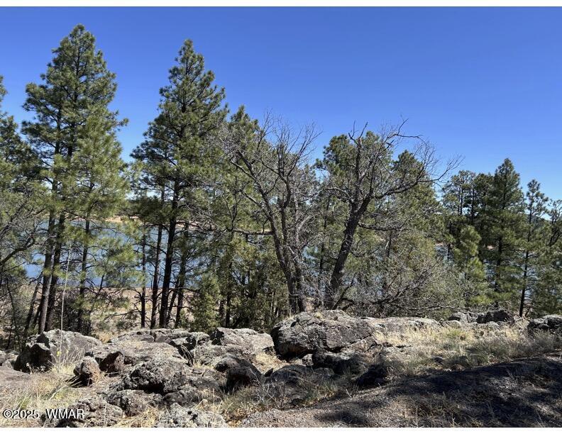 Tbd Show Low Lake Road Lakeside, AZ 85929 - Photo 3 of 9 48 Acre 3