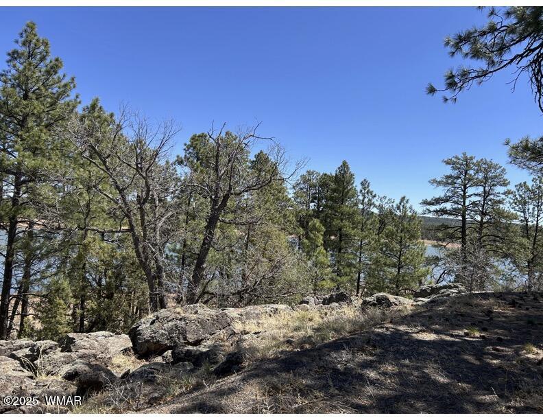 Tbd Show Low Lake Road Lakeside, AZ 85929 - Photo 5 of 9 48 Acre 2