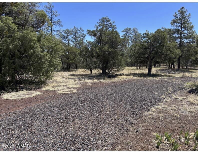 Tbd Show Low Lake Road Lakeside, AZ 85929 - Photo 6 of 9 SLL 48 Acres