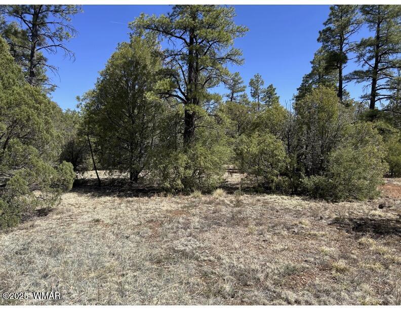 Tbd Show Low Lake Road Lakeside, AZ 85929 - Photo 7 of 9 48 Acre 7