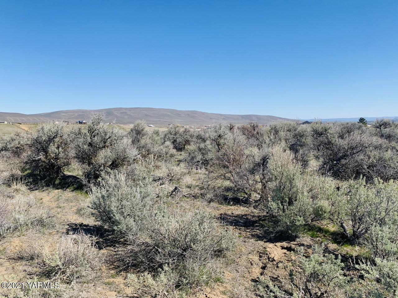 Nna Black Hawk Road Yakima, WA 98908 - Photo 5 of 5 a view of a dry yard with trees