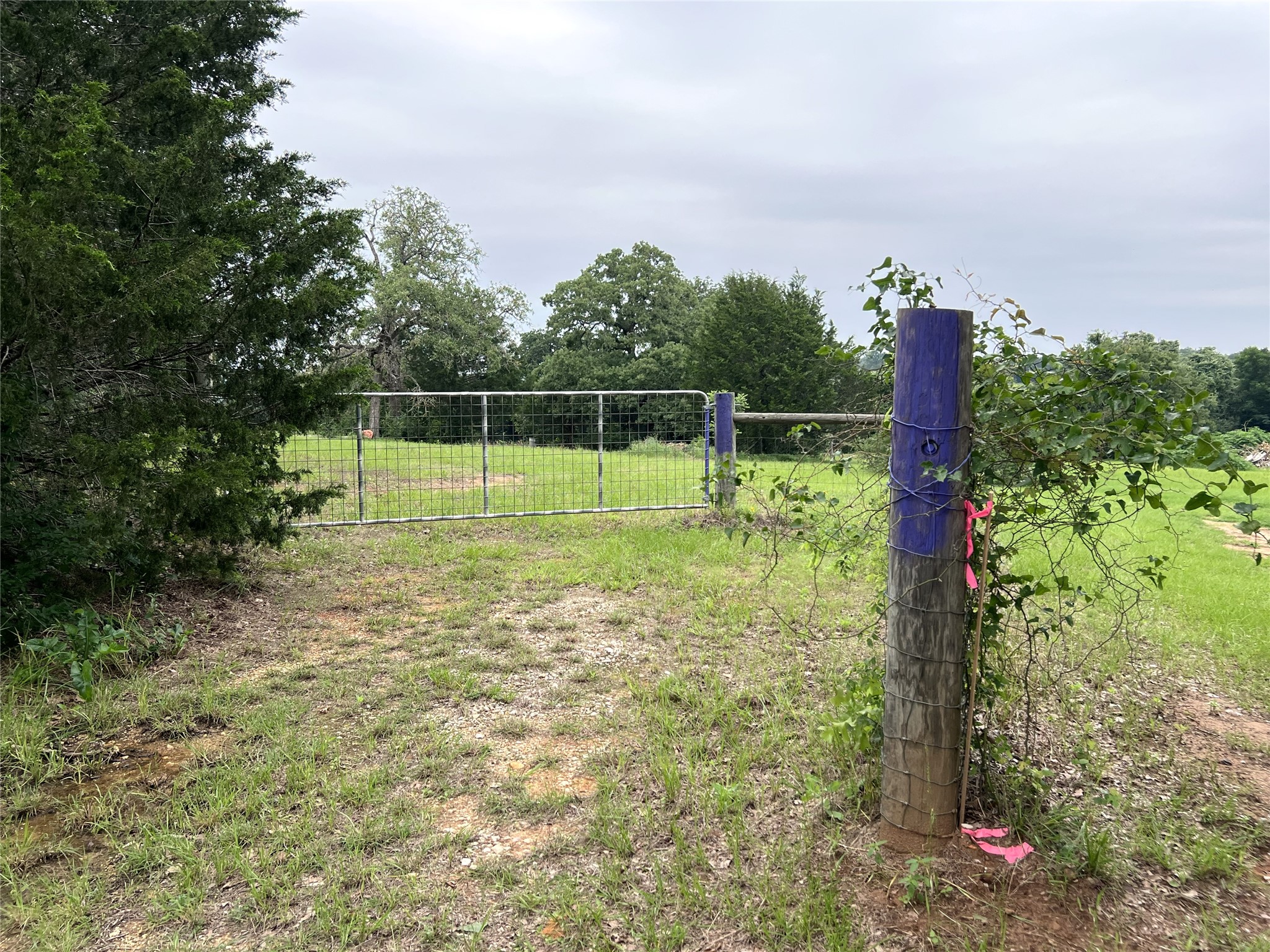 160 Rosanky Cattle Company Road, Unit R Smithville, TX 78957 - Photo 5 of 19 a view of a park