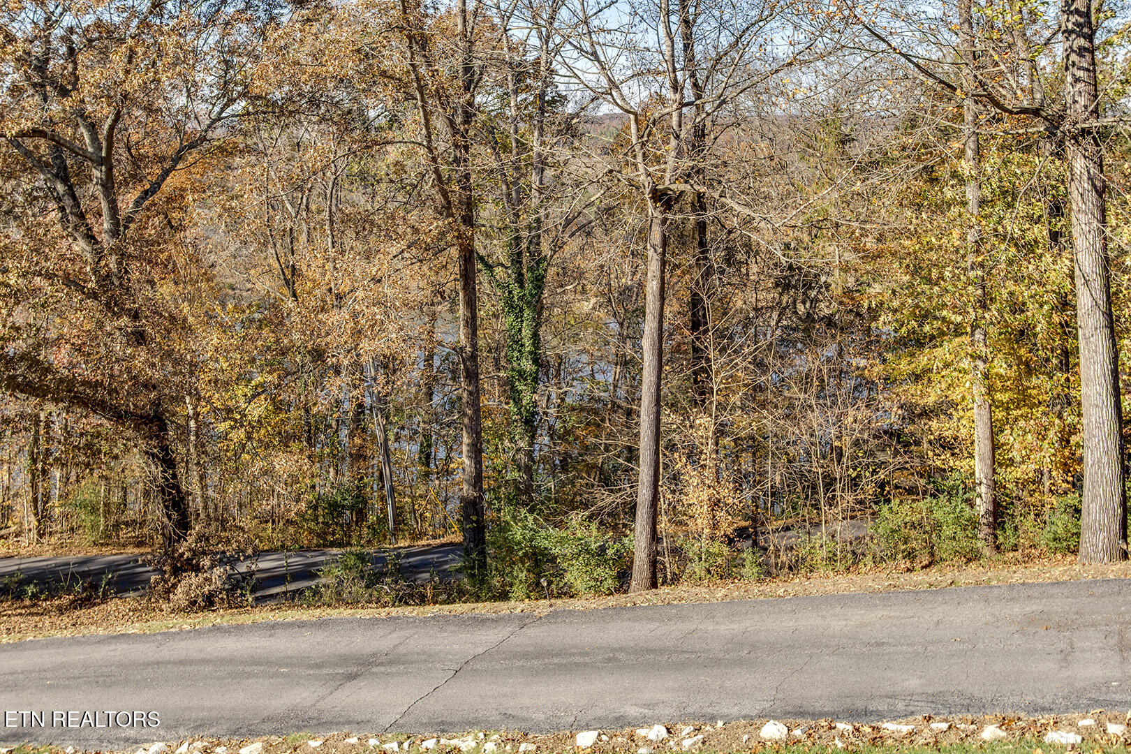 417 River Road Loudon, TN 37774 - Photo 6 of 60 Front Porch View