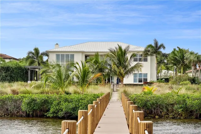 a view of a yard with plants and palm trees